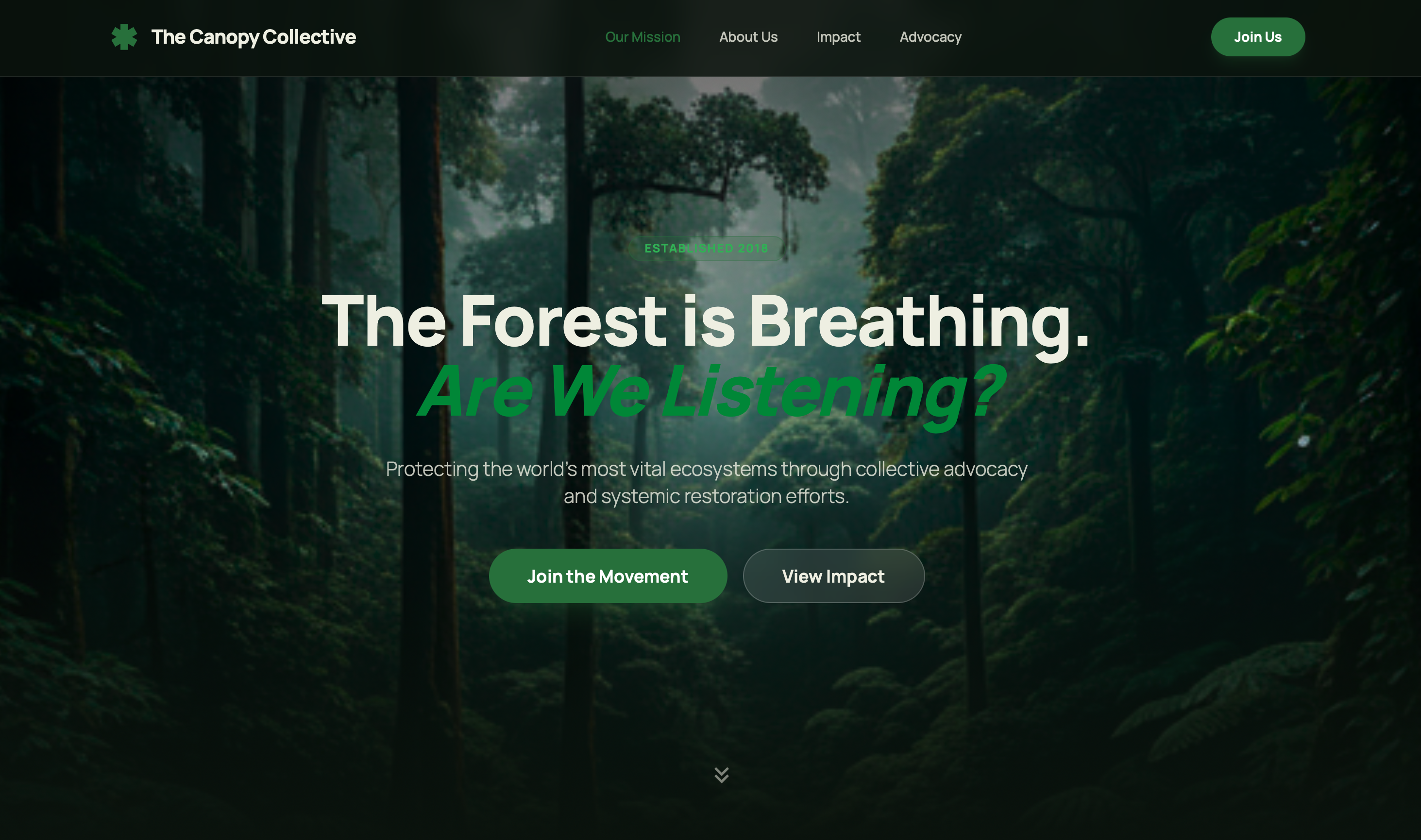 Canopy Borneo Forest